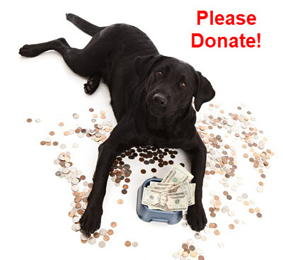 GGLRR Donation Dog